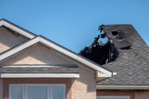 Top rated local Fire Damage Removal specialists in Plant City, FL